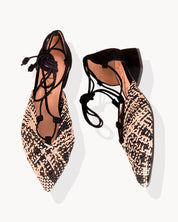 Poelia multi