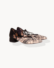 Poelia multi