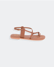 XICORIA CAMEL