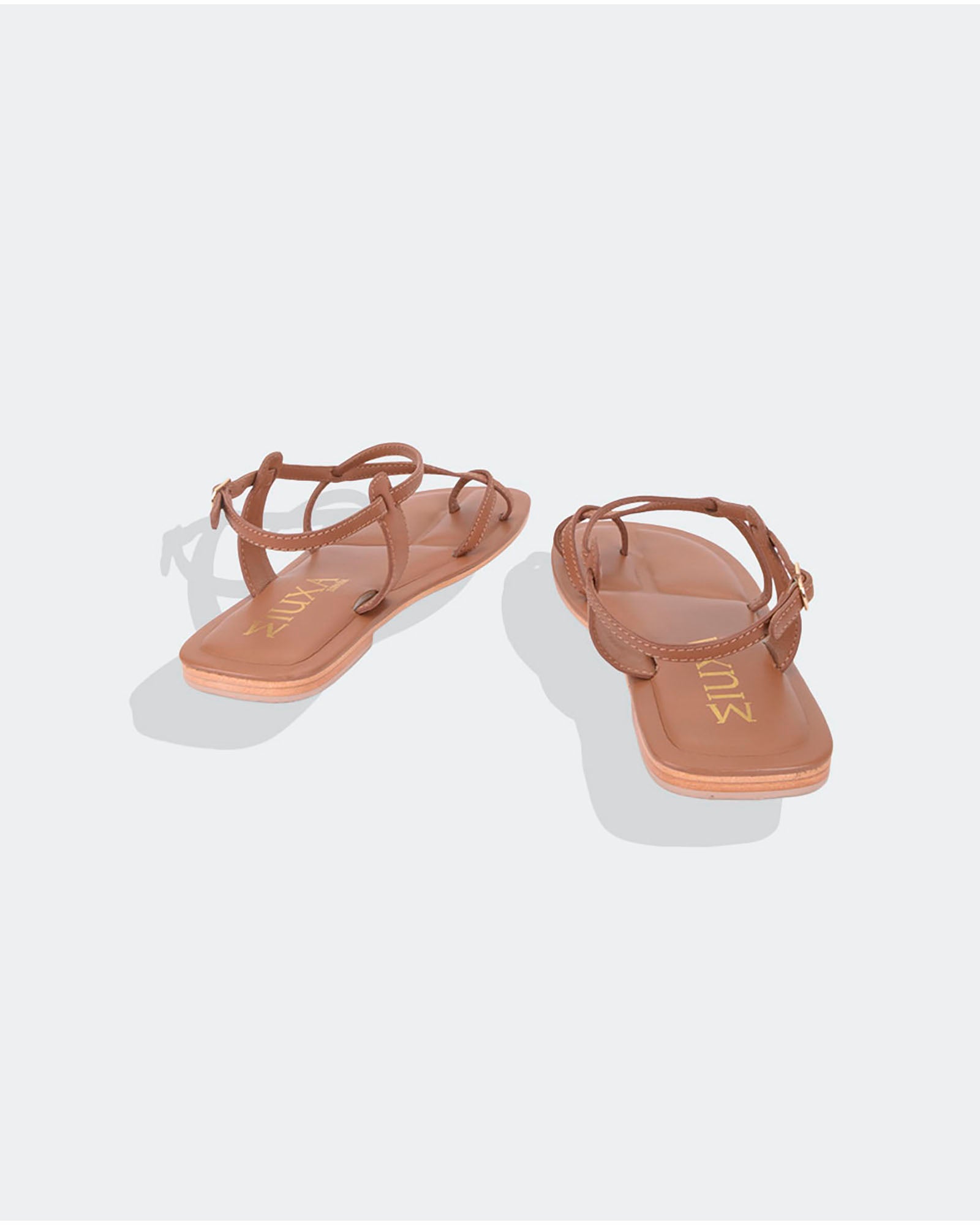 XICORIA CAMEL