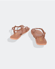 XICORIA CAMEL