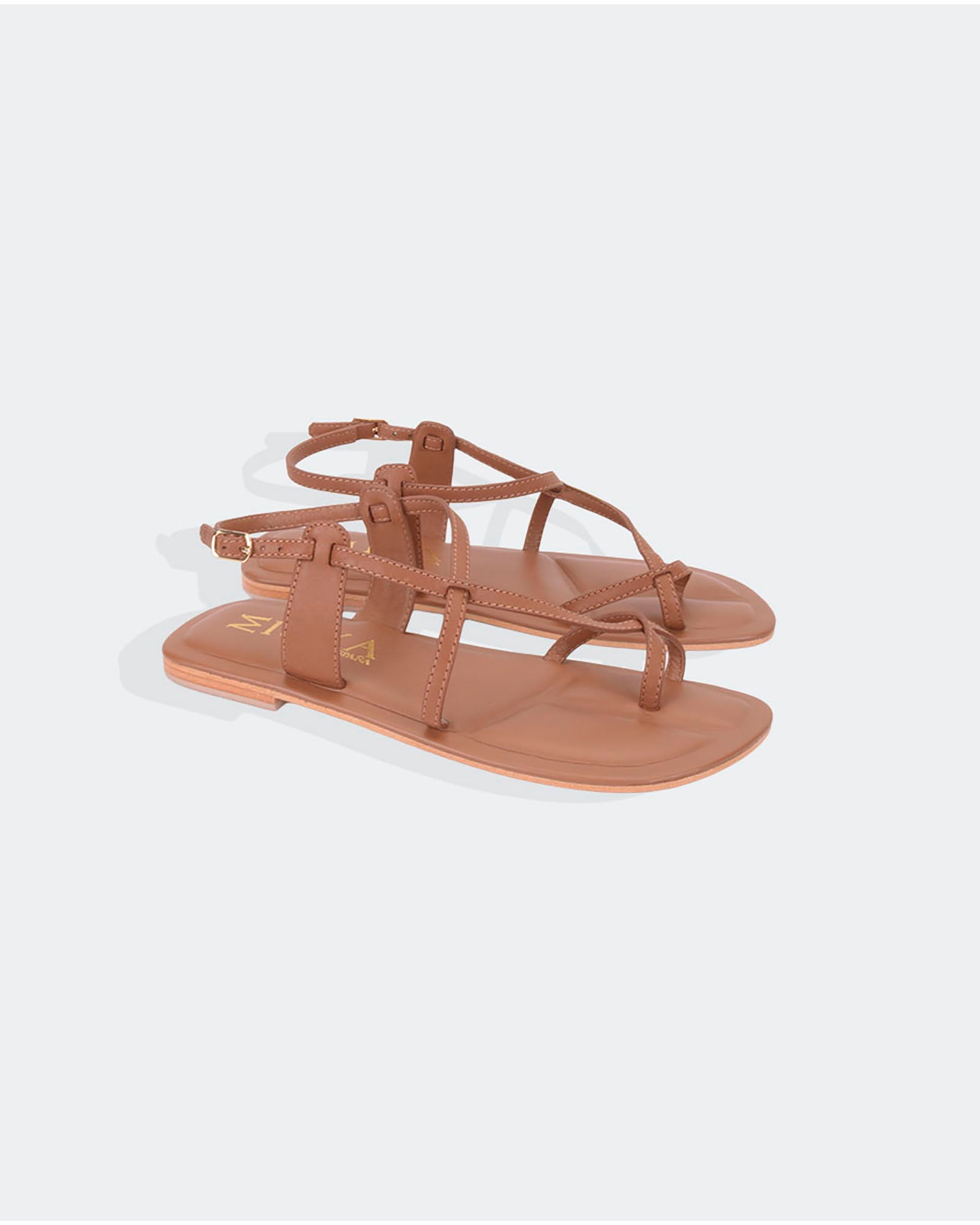 XICORIA CAMEL