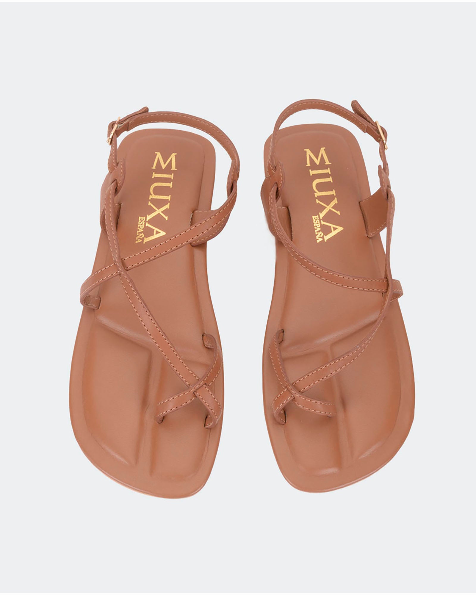 XICORIA CAMEL