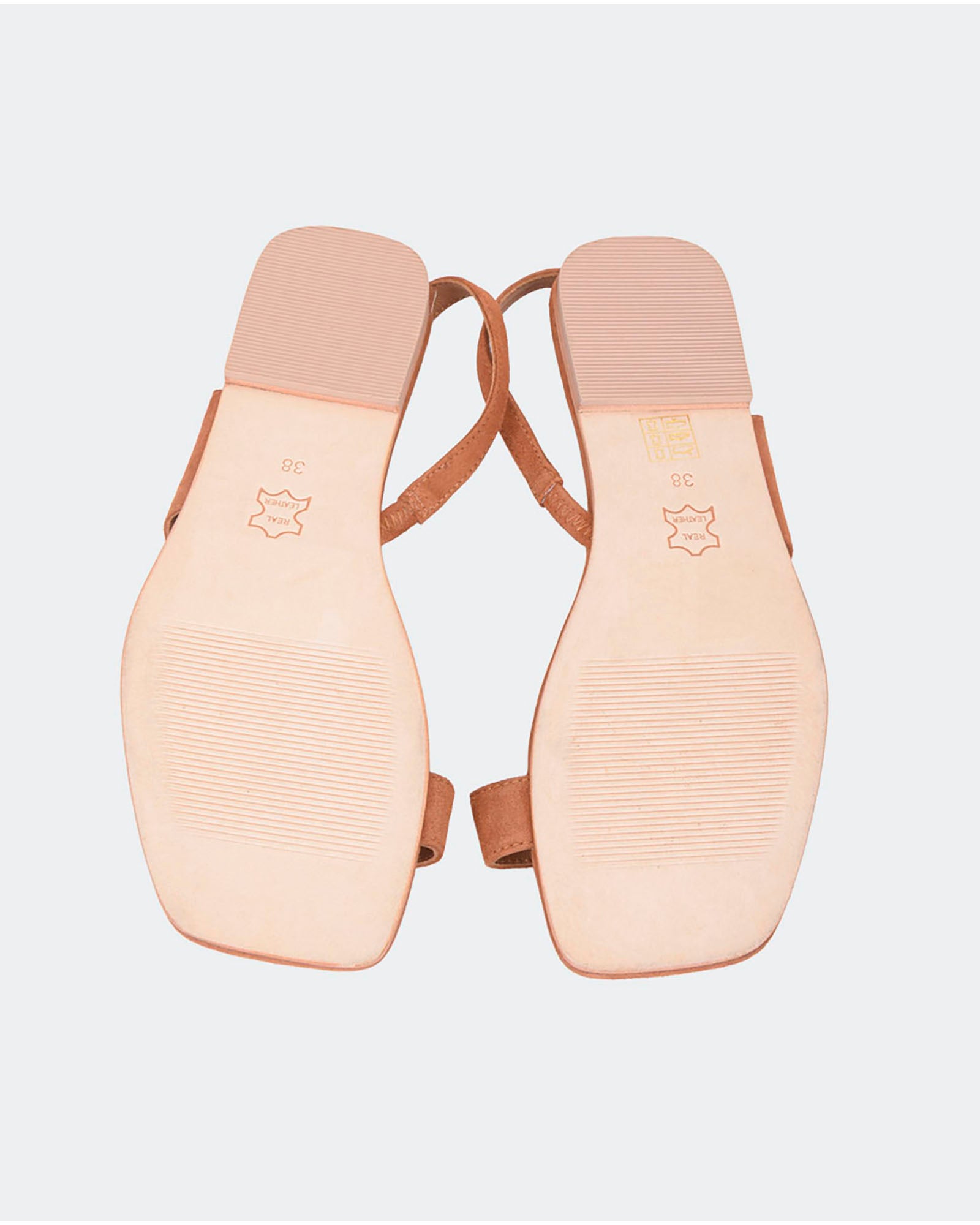 XIMEA CAMEL