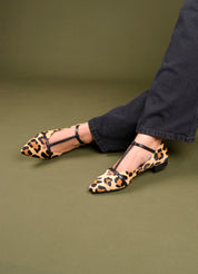 ZITRO LEOP