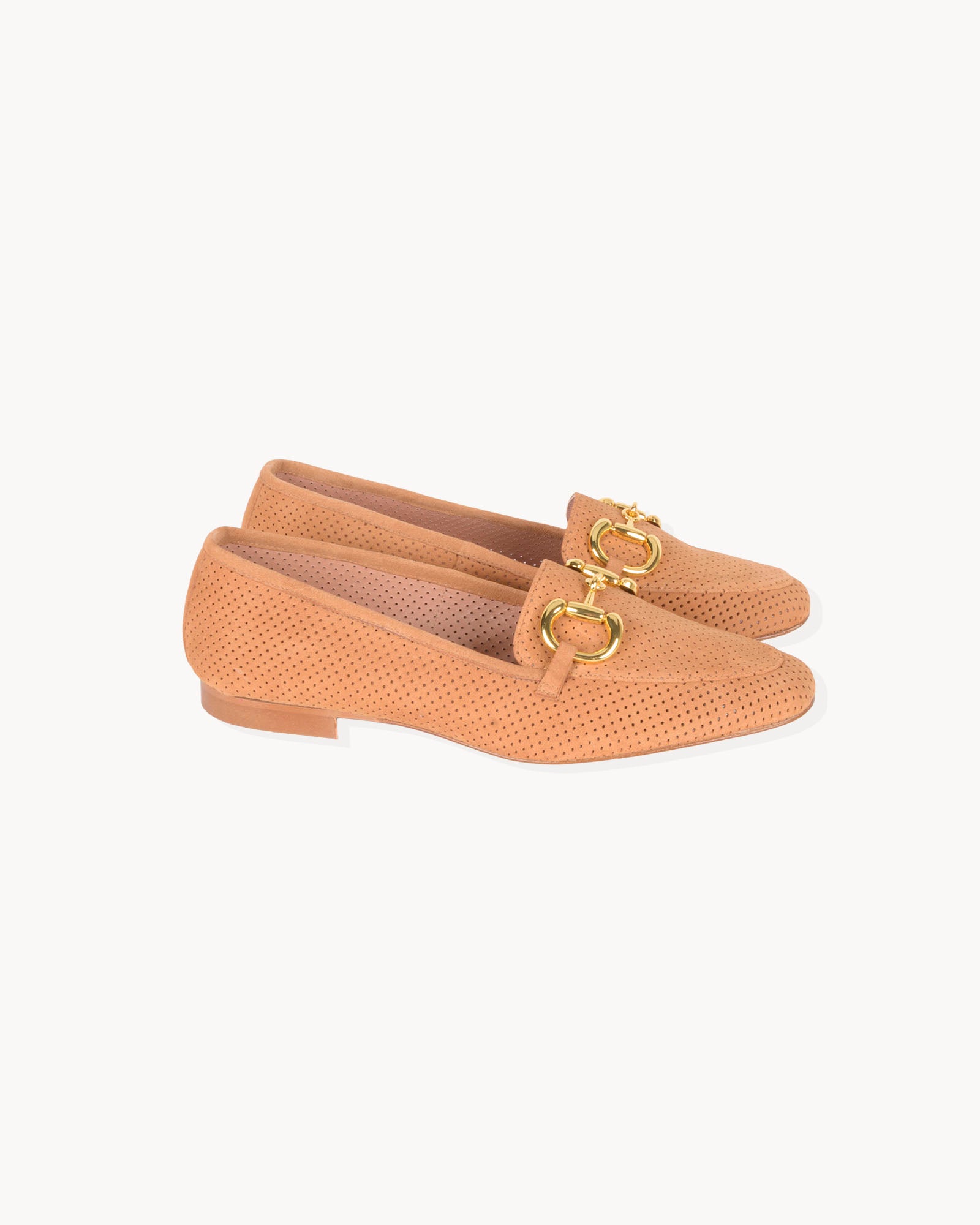 Amelia camel