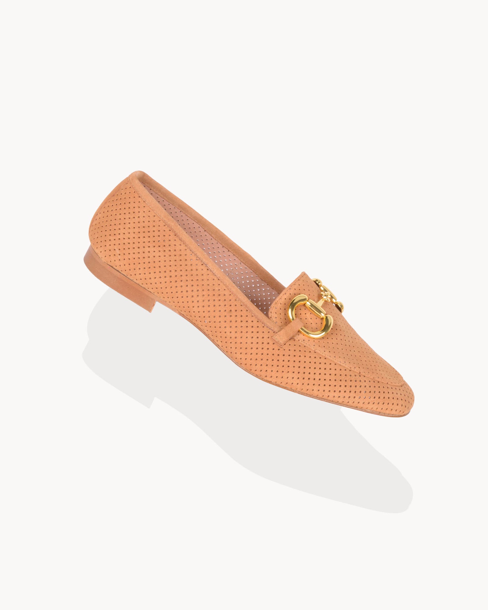 Amelia camel