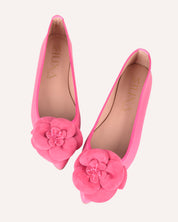 Flor fucsia