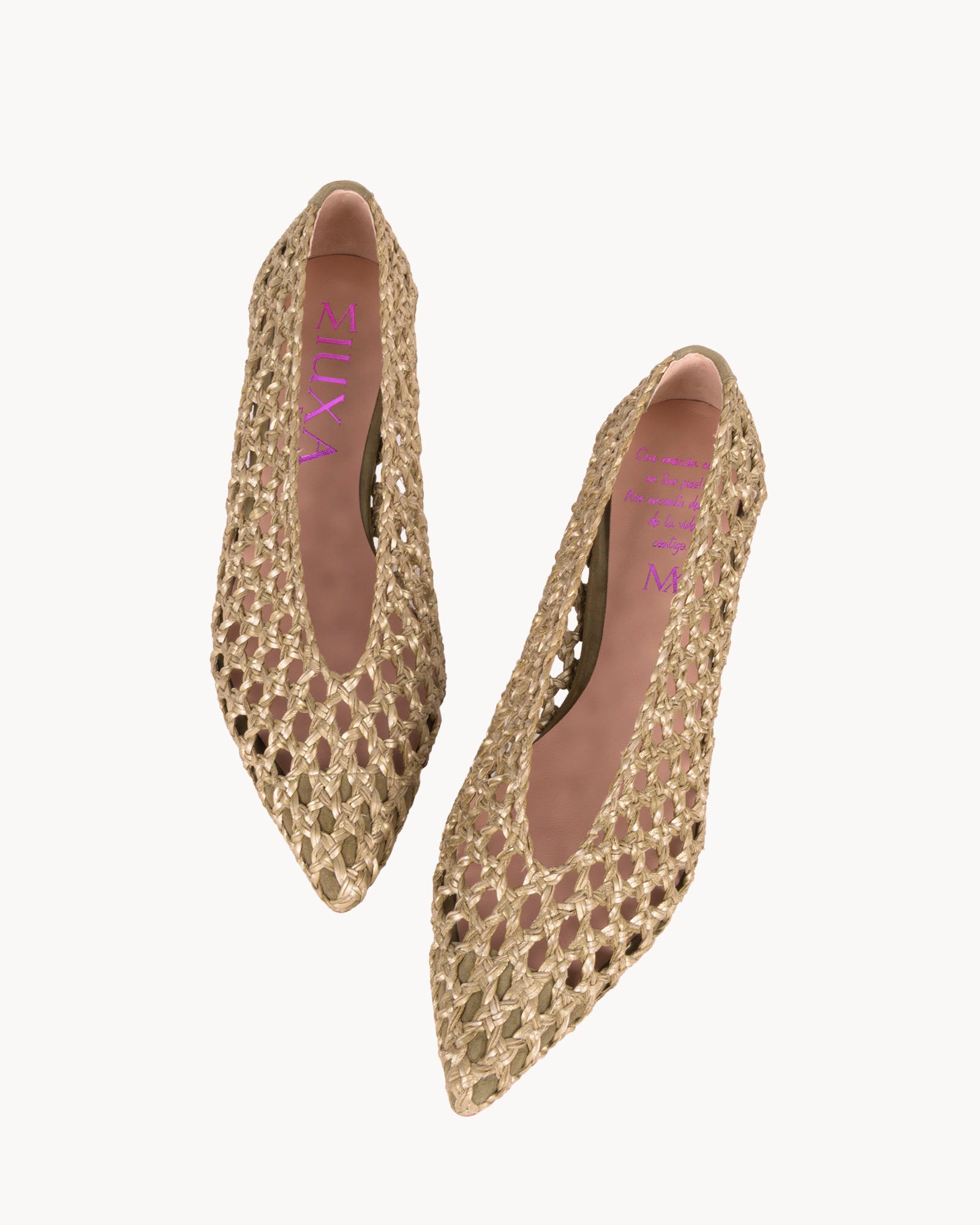 SABINA OLIVE